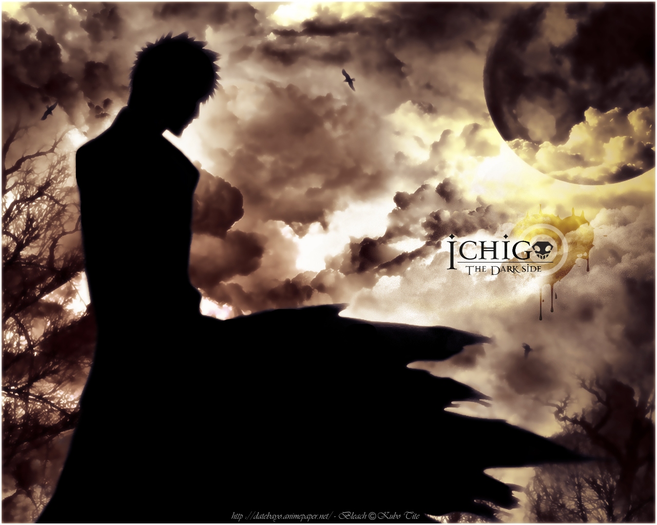 wallpaper_black_ichigo.jpg